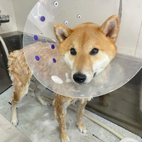 画像1107
