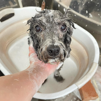 画像1154