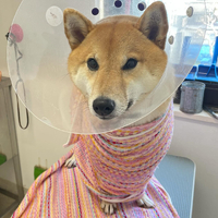 画像1174
