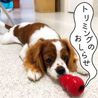 画像1205