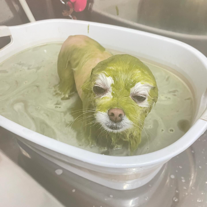 画像1310