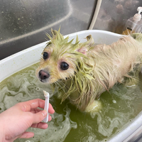 画像1406