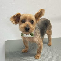 画像1432