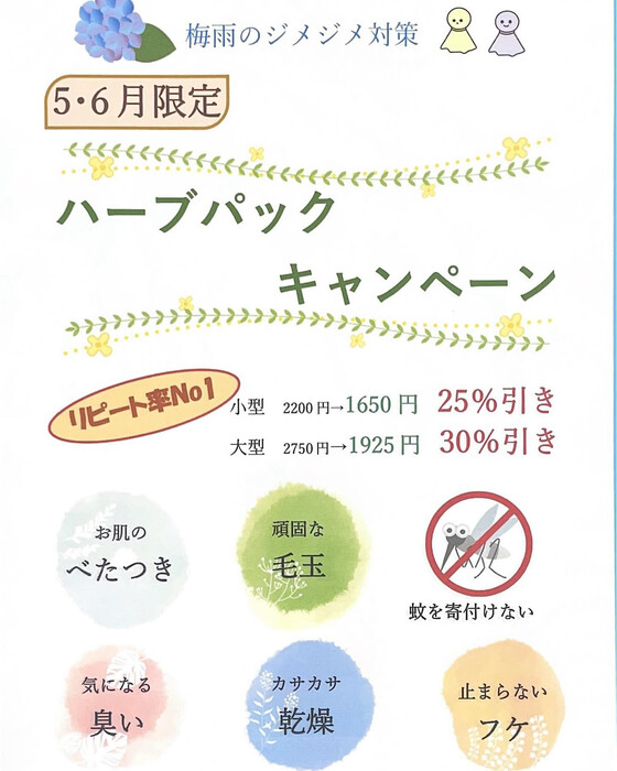 画像1488
