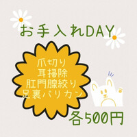 画像1506