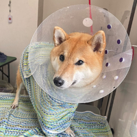 画像1525