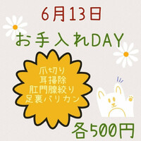 画像1569