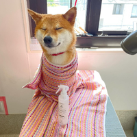 画像1623
