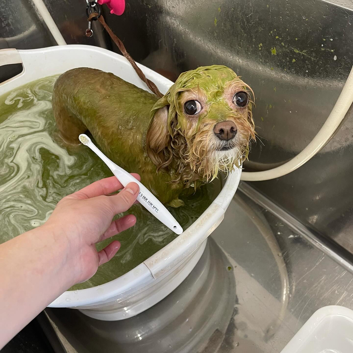 画像1644