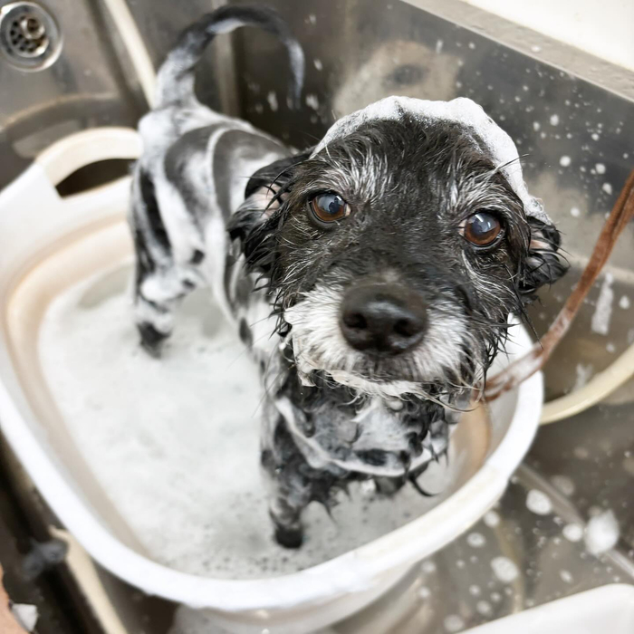 画像1711