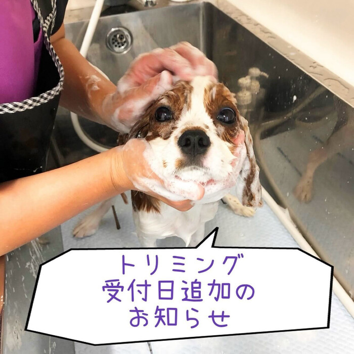 画像1720