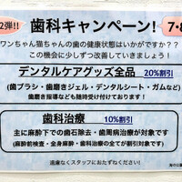画像1722