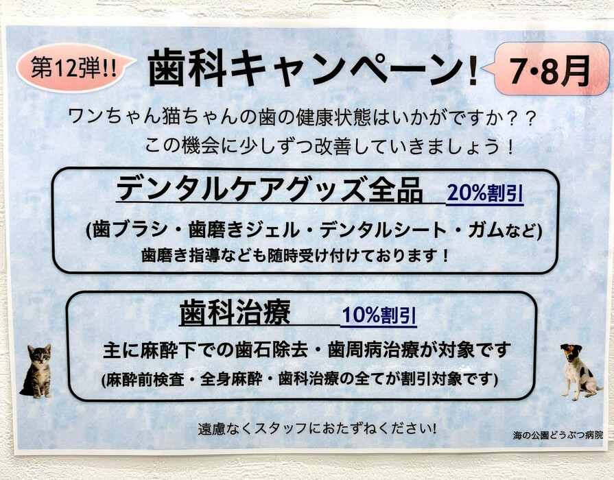 画像1722
