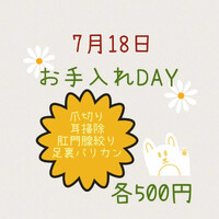 画像1730