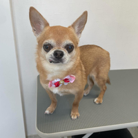 画像1783