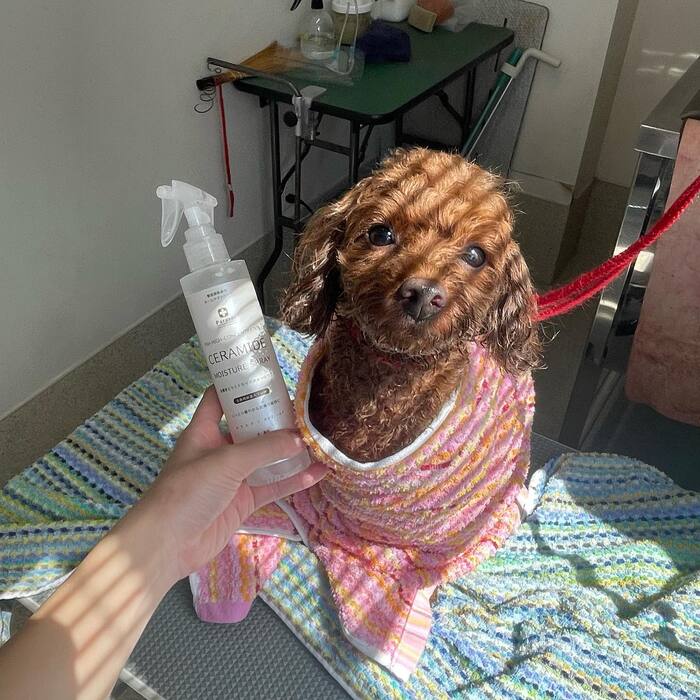 画像297