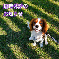 画像321
