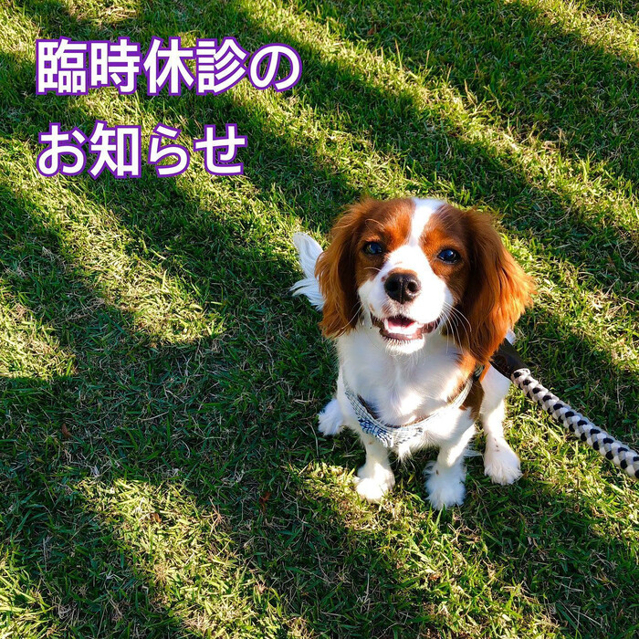 画像321