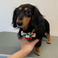 画像394