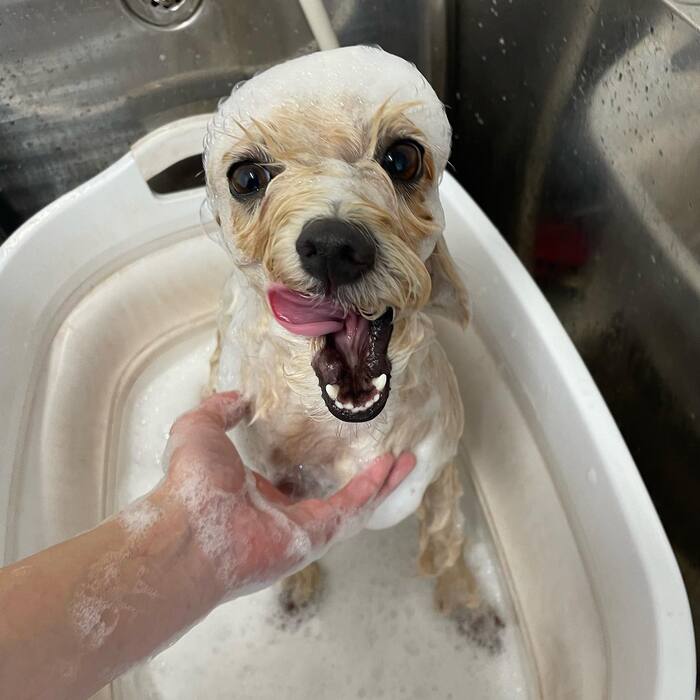 画像459