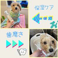 画像460