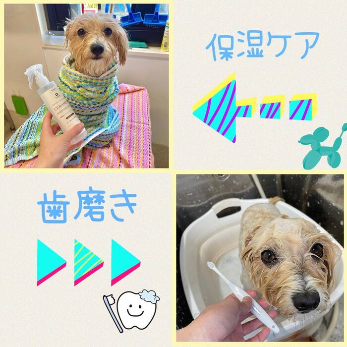 画像460
