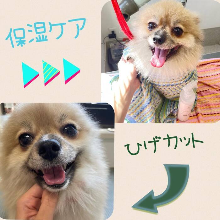 画像502
