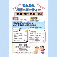 画像539