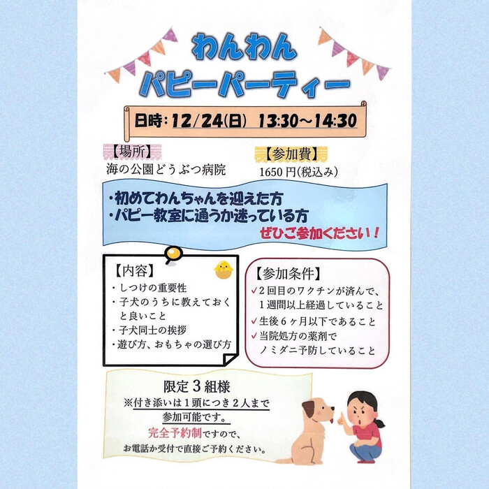 画像539