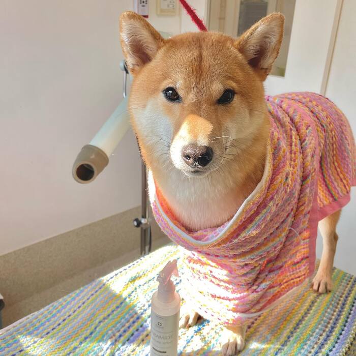 画像619