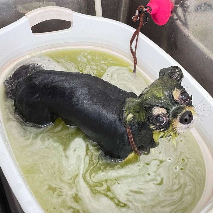 画像696