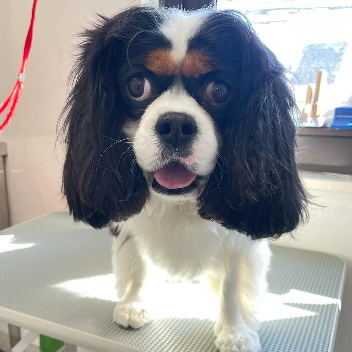 画像703