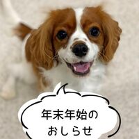 画像733