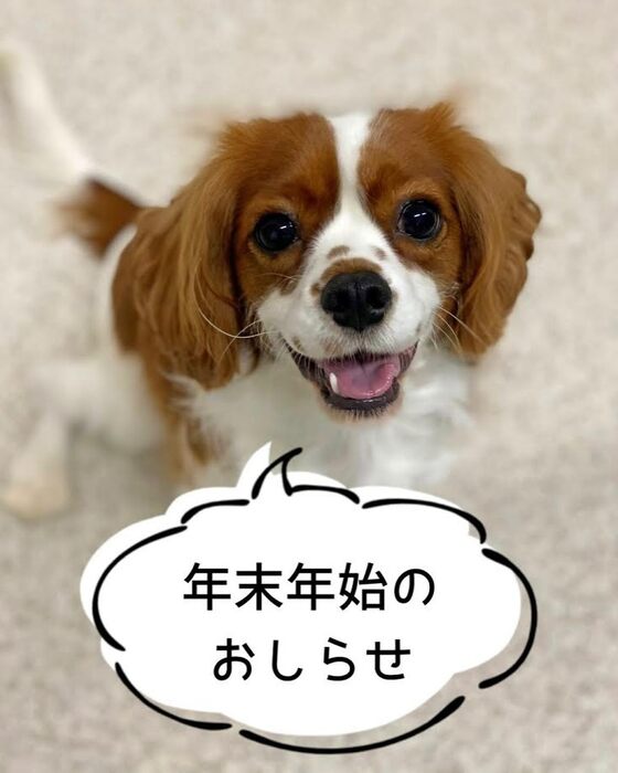 画像733