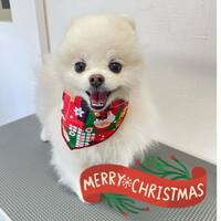 画像791