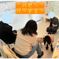画像923