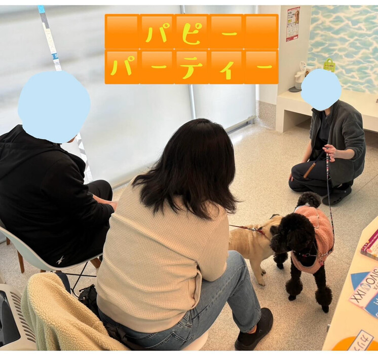 画像923