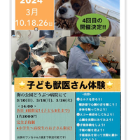 画像927