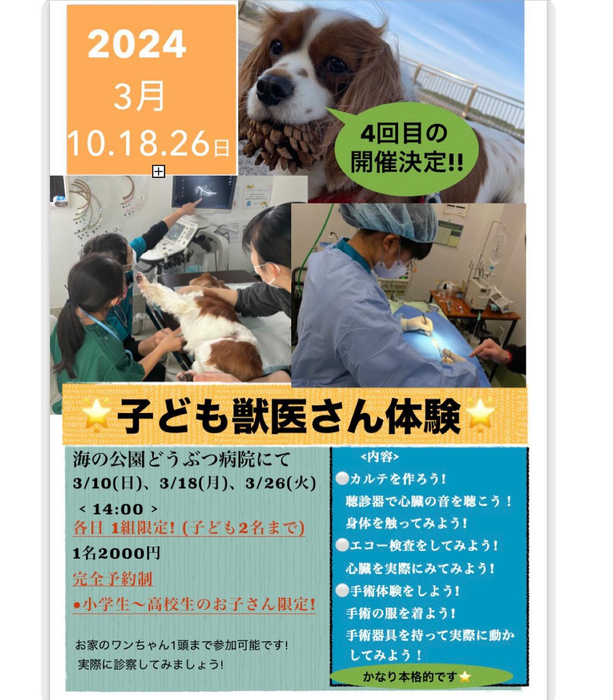 画像927