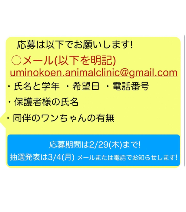 画像928